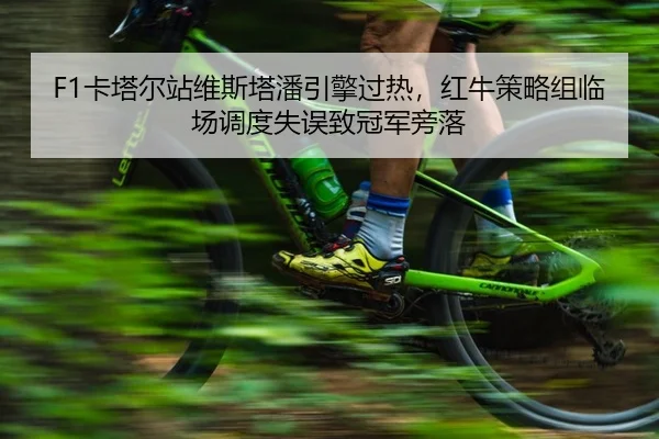 ka-ta-er-zhan-wei-si-ta-pan-yin-qing-guo-re-hong-niu-ce-lve-zu-lin-chang-diao-du-shi-wu-zhi-guan-jun-pang-luo-2-740.jpg